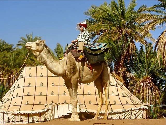Dar Sidi Bounou Hotel M'Hamid Eksteriør billede